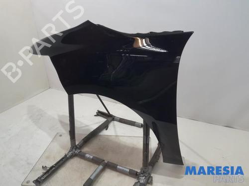 Left front fenders CITROËN C4 Grand Picasso II (DA_, DE_) 1.6 VTi 120 | BP31428655C41