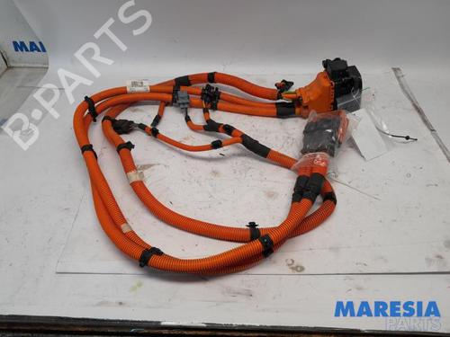 Used Electronic module CITROËN C4 III (BA_, BB_, BC_) ë-C4 (BCZKXC, BZCKSC) (136 hp) 31505303