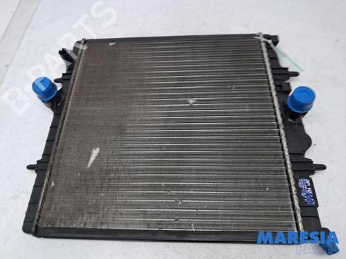 water-radiator-peugeot-206-2l_-2m_-2009-2010-2011-2012-2013-31412729 main image