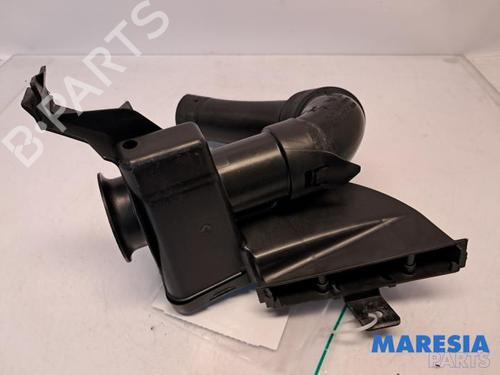 Used Pipe CITROËN C3 II (SC_) 1.6 HDi (92 hp) 31527954