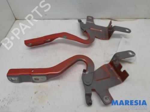 Used Hinge/Door check strap RENAULT CLIO IV Grandtour (KH_) 0.9 TCe 90 (90 hp) 31389515