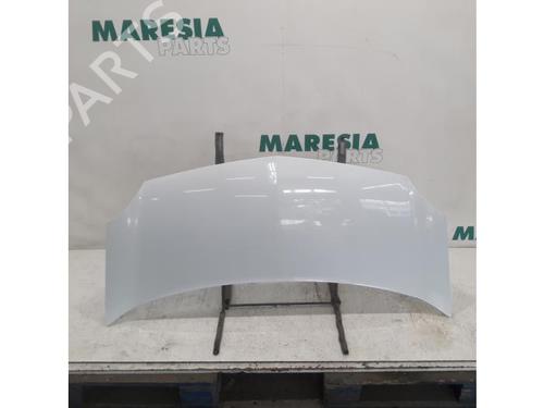 Motorhjelm RENAULT KANGOO Express (FW0/1_) 1.5 dCi 75 (FW07, FW10, FW04) (75 hp) 31491203