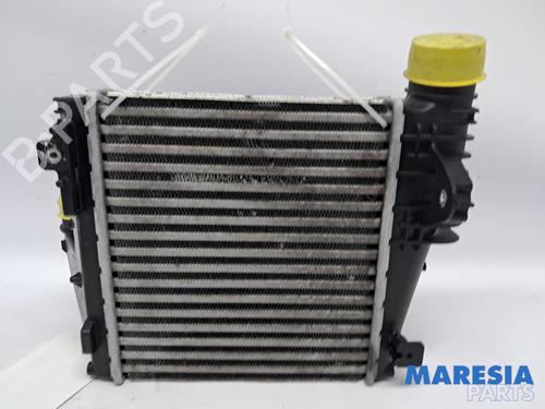 Intercooler Intercooler PEUGEOT 308 SW II (LC_, LJ_, LR_, LX_, L4_) 1.6 BlueHDi 120 (120 hp) 34496458 34496458