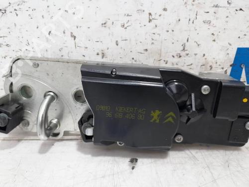 Hinge/Door check strap CITROËN C5 III Break (RW_) 1.6 THP 155 | BP31464144C146