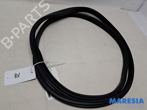 Gummiliste RENAULT CAPTUR I (J5_, H5_) 1.2 TCe 120 (120 hp) 31816455