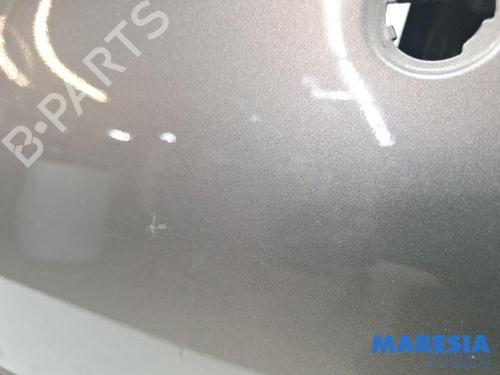 Left front door CITROËN XSARA PICASSO (N68) 1.6 16V | BP31411526C2