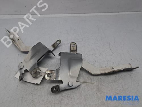 Used Hinge/Door check strap Hinge/Door check strap 31411123 31411123