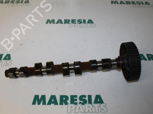 Used Other Other FIAT STILO (192_) 1.8 16V (192AXC1A, 192BXC1A) (133 hp) 31524525 31524525