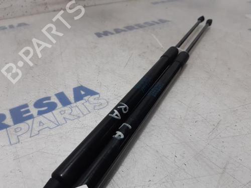 Tailgate lift support CITROËN C4 CACTUS 1.6 BlueHDi 100 | BP31387898C138