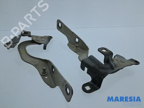 Used Hinge/Door check strap RENAULT CAPTUR I (J5_, H5_) 1.2 TCe 120 (120 hp) 33054883