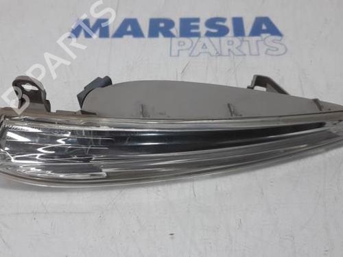 Clignoteur links CITROËN DS5 2.0 HDi 165 (163 hp) 31513014