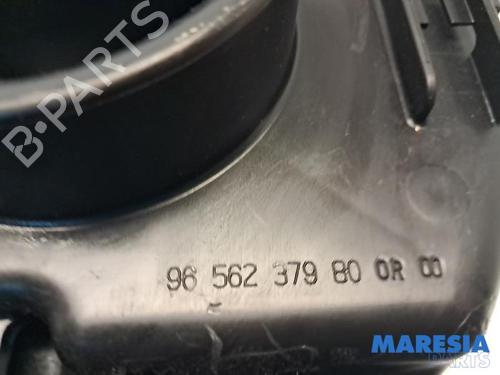 Pipe PEUGEOT 5008 (0U_, 0E_) 1.6 16V | BP31534510M125 