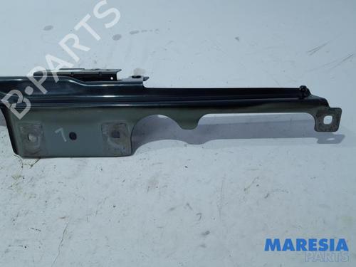 Hinge/Door check strap RENAULT WIND (E4M_) 1.2 TCe 100 (E4MF) | BP31436905C146