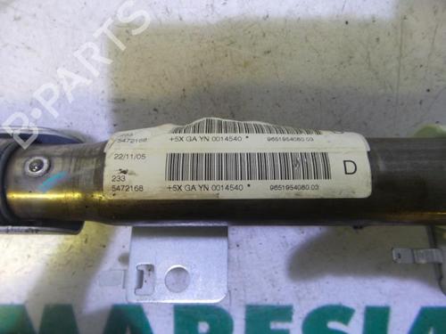 Right curtain airbag PEUGEOT 407 Coupe (6C_) 2.7 HDi | BP31508434C12