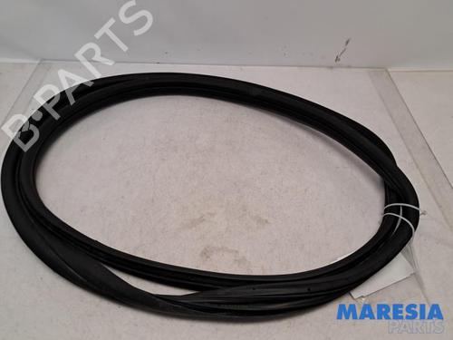 rubber-door-seal-fiat-500-312_-2007-31445461 main image