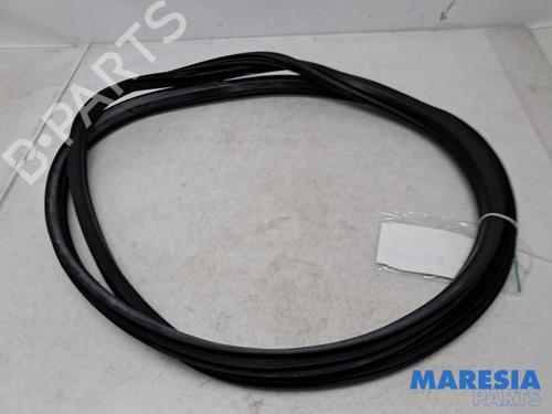 Used Rubber door seal FIAT 500L (351_, 352_) 0.9 (199LYC1B) (105 hp) 31528369