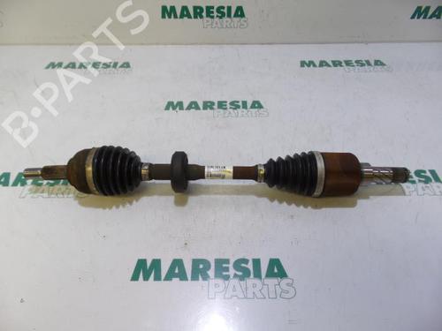 BP31530304M38 main image