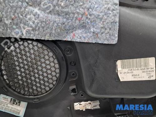 Rear left panel RENAULT GRAND SCÉNIC III (JZ0/1_) 2.0 16V (JZ0G) | BP31466404C60