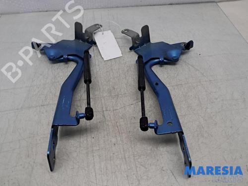 Used Hinge/Door check strap RENAULT SCÉNIC III (JZ0/1_) 1.5 dCi (110 hp) 32394900