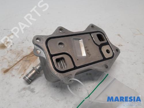 Used Oil radiator ALFA ROMEO GIULIA (952_) 2.0 Q4 (952ACA45, 952ACA25) (280 hp) 31482054