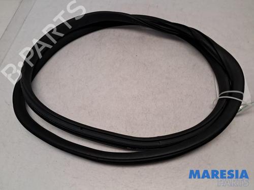 Gummiliste CITROËN C3 III (SX) 1.2 PureTech 82 (83 hp) 31444022