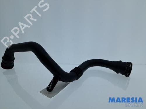 Système d'échappement RENAULT SCÉNIC III (JZ0/1_) 1.5 dCi (110 hp) 32394873