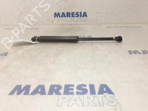 Used Hood lift support RENAULT KANGOO Express (FW0/1_) 1.5 dCi 90 (FW0G, FW05, FW08, FW11) (90 hp) 31535539