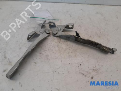Used Hinge/Door check strap CITROËN DS3 (SA_) 1.6 HDi 90 (92 hp) 31473823