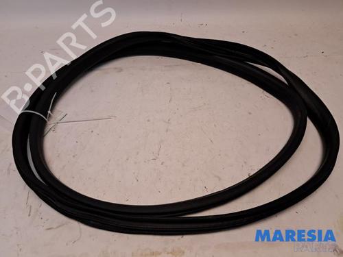 BP31448689C142 main image