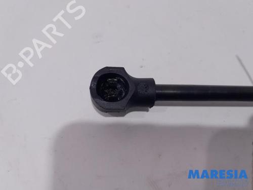 Tailgate lift support RENAULT CAPTUR I (J5_, H5_) 0.9 TCe 90 | BP31455427C138