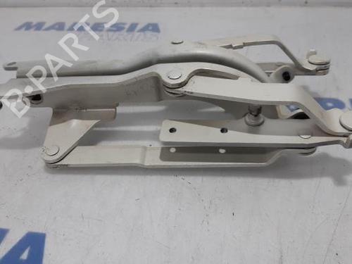 Hinge/Door check strap FIAT 500 (312_) 0.9 (312AXG1A, 312.AXG11) | BP31485711C146 