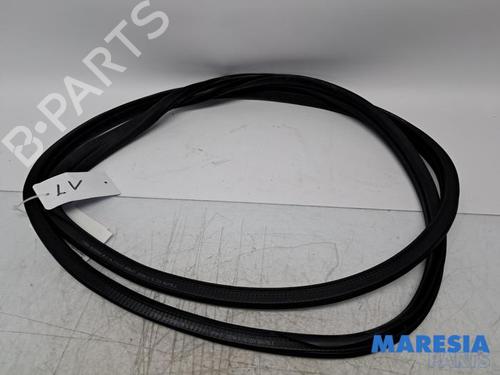 Gummiliste Gummiliste CITROËN C3 III (SX) 1.2 THP 110 (SXHNPS, SXHNZT, SXHNZ6) (110 hp) 33957794 33957794