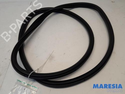 Gummilist DS DS 4 / DS 4 CROSSBACK (NX_) 1.6 BlueHDi 120 (120 hp) 31490686