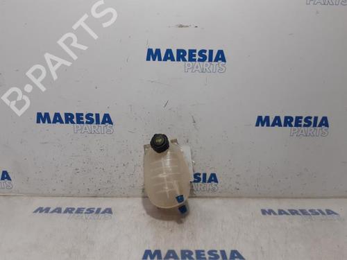Ekspansjonstank RENAULT CLIO V (B7_) 1.0 TCe 100 (B7MT) (101 hp) 31449020