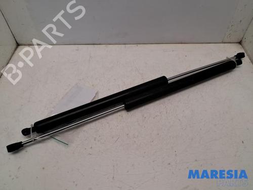 Used Tailgate lift support CITROËN BERLINGO MULTISPACE (B9) 1.6 (90 hp) 31509138