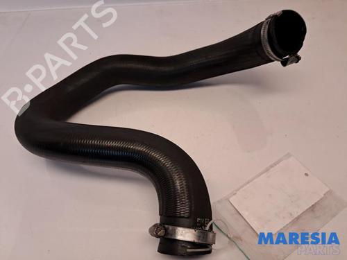 Rør CITROËN C4 Grand Picasso II (DA_, DE_) 1.6 HDi / BlueHDi 115 (115 hp) 31456270