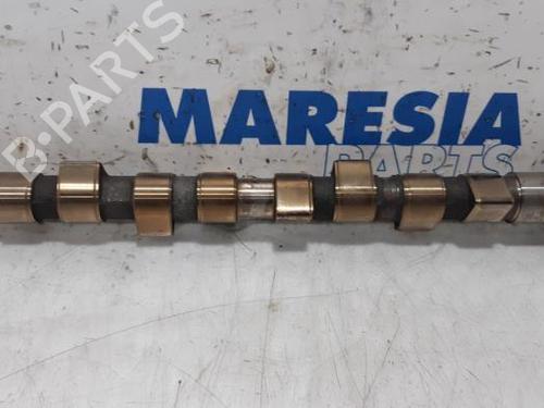 Other FIAT PANDA (169_) 1.2 (169.AXB11, 169.AXB1A) | BP31464416O1