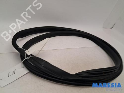 Gummiliste PEUGEOT 107 (PM_, PN_) 1.0 (68 hp) 31432428