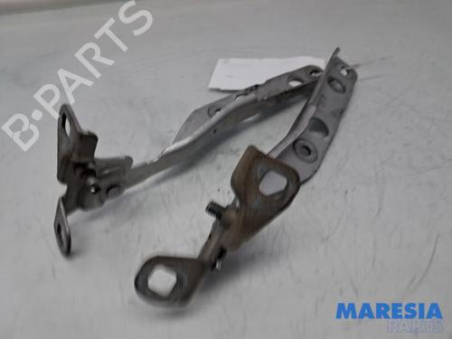 Hinge/Door check strap CITROËN C4 Picasso II 1.6 THP 155 | BP31403443C146