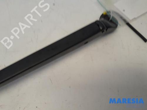 Vindspejlsviskerarm CITROËN C4 CACTUS 1.2 VTi 82 | BP31434420C143