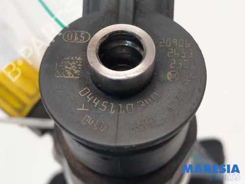 Injector CITROËN C3 II (SC_) 1.6 HDi | BP31454369M100