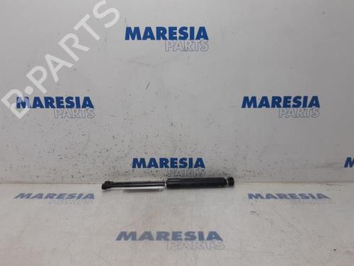 hood-lift-support-renault-kangoo-express-fw01_-2008-31482291 main image