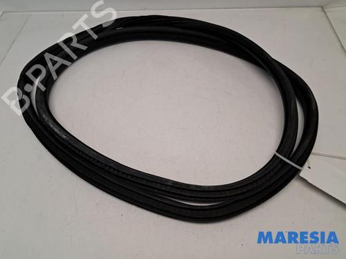 Gummiliste CITROËN C4 II (NC_) 1.6 VTi 120 (NC5FS0, NC5FS9) (120 hp) 31523392