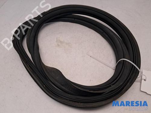 BP31487654C162 main image