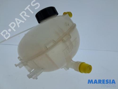 Ekpansionstank Ekpansionstank PEUGEOT 2008 II (UD_, US_, UY_, UJ_, UR_, UC_) 1.2 PureTech 100 (USHNK) (101 hp) 32484813 32484813