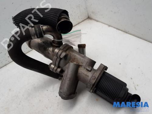 Used Egr FIAT DOBLO Cargo (263_) 1.3 D Multijet (90 hp) 31535304