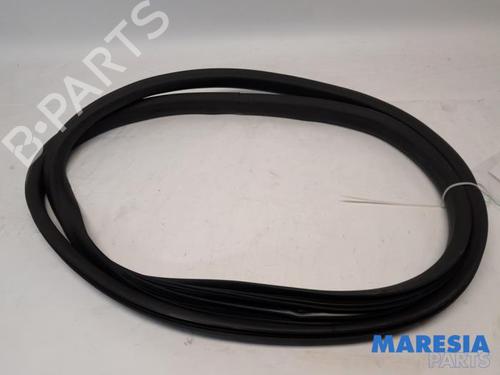 Gummiliste RENAULT ZOE (BFM_) ZOE (BFMD) (109 hp) 31527313