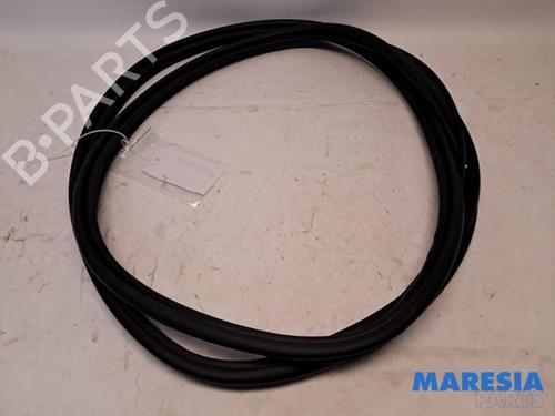 BP31455735C162 main image