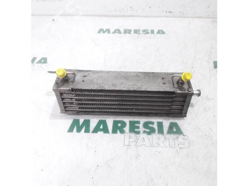 Used Oil radiator FIAT PUNTO (188_) 1.2 16V 80 (188.233, .235, .253, .255, .333, .353, .639,... (80 hp) 31405493