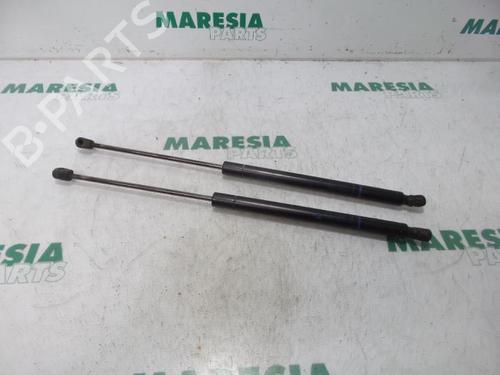 Gasdæmper bagklap RENAULT MEGANE II Estate (KM0/1_) 1.6 (113 hp) 31532502